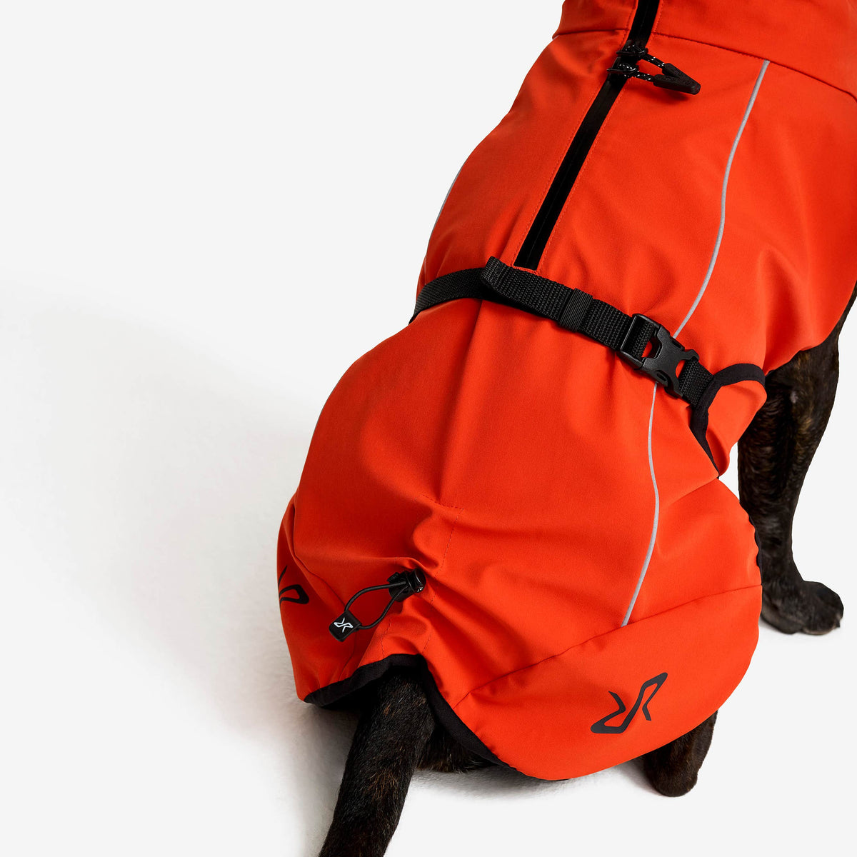Cyclone Dog Jacket Dog