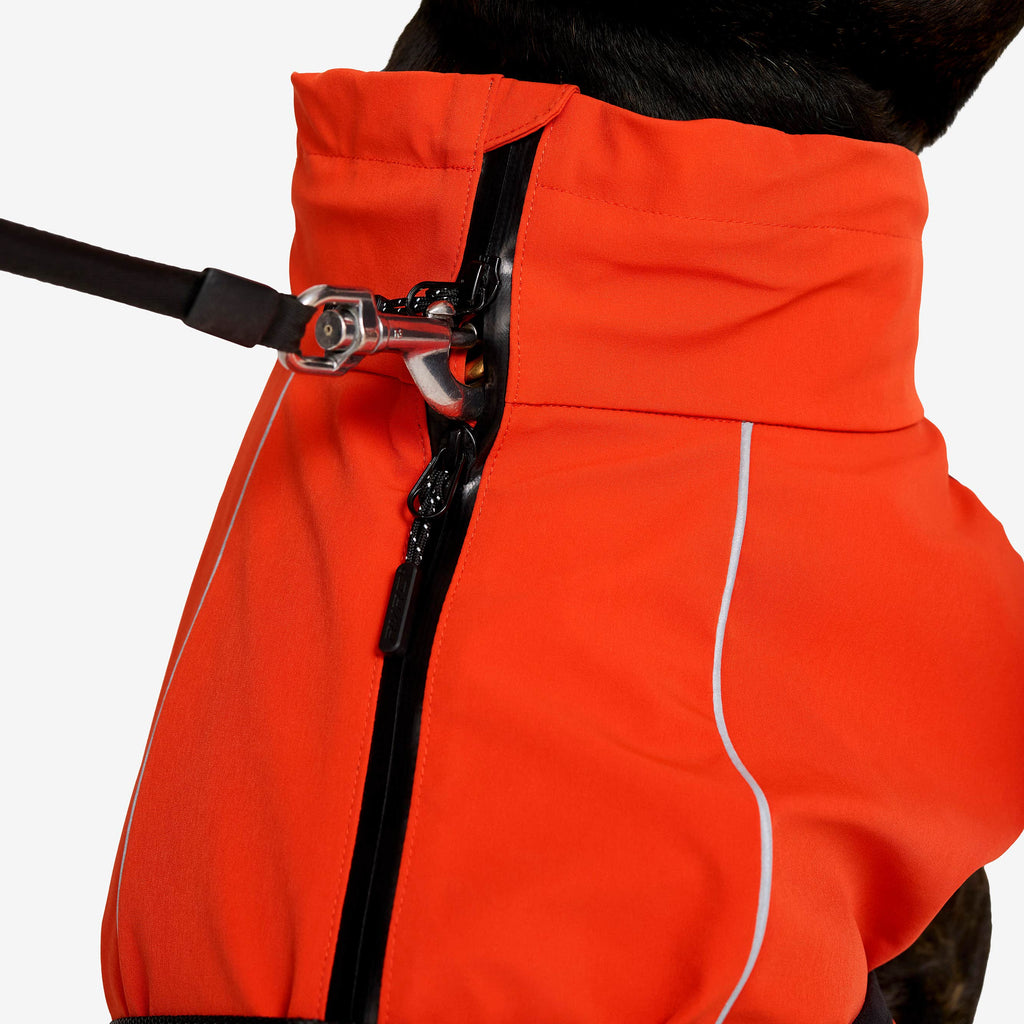 Cyclone Dog Jacket Dog