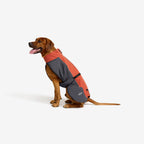 Cyclone Dog Jacket Dog