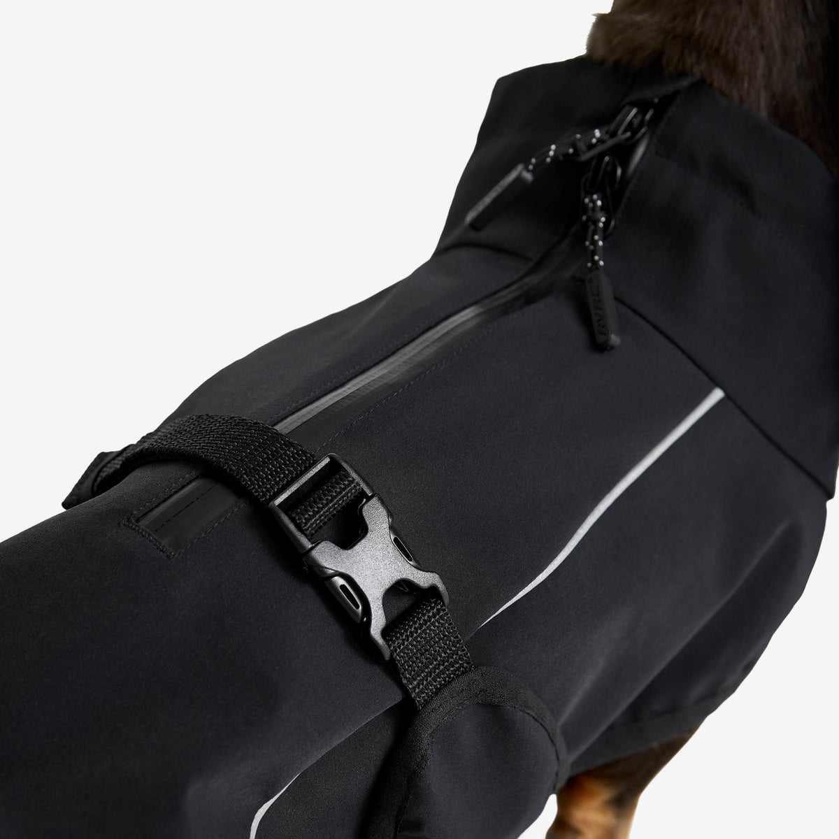 Cyclone Dog Jacket Dog