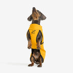 Cyclone Dog Jacket Dog