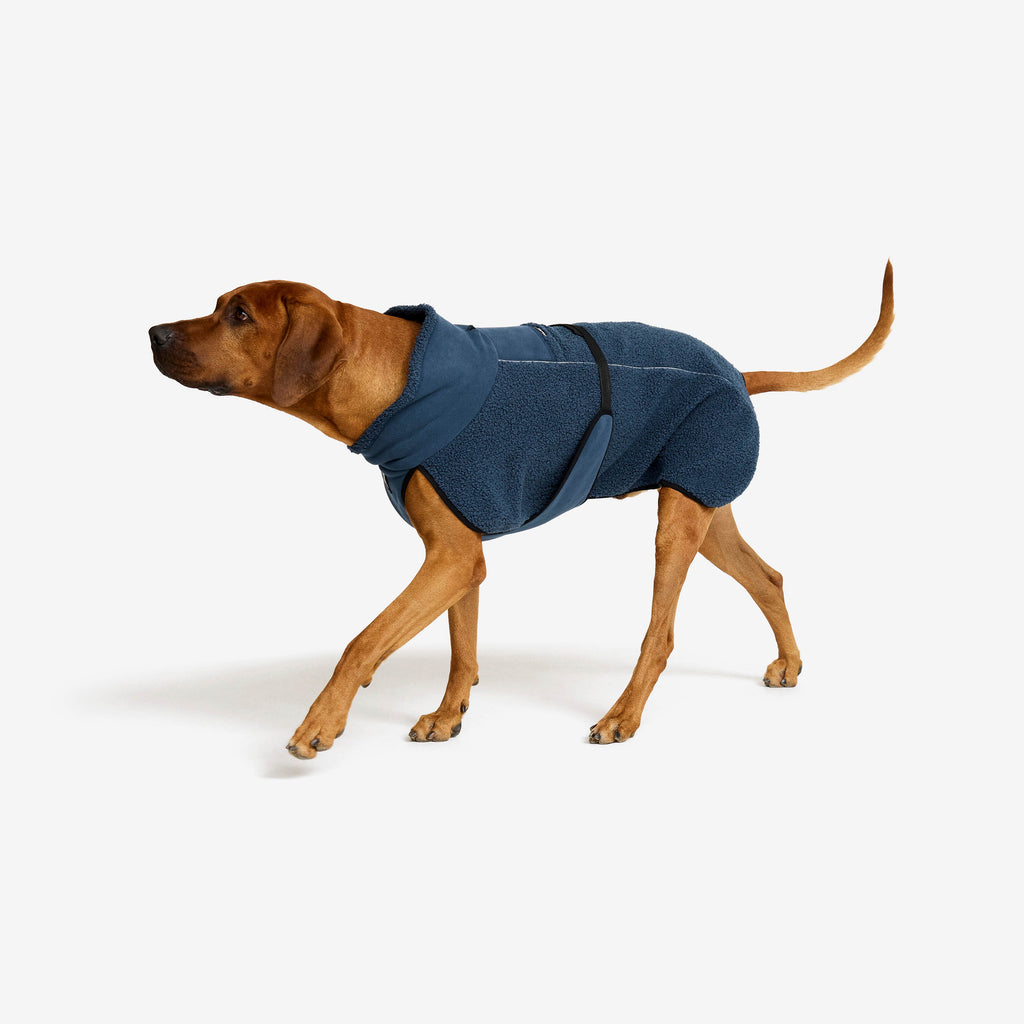 Bigfoot Dog Jacket Dog