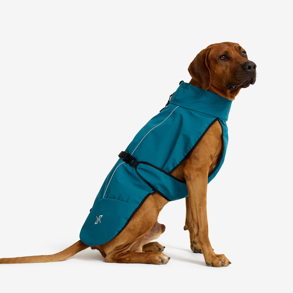 Cyclone Dog Jacket Dog