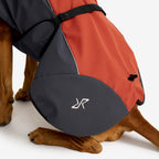 Cyclone Dog Jacket Dog