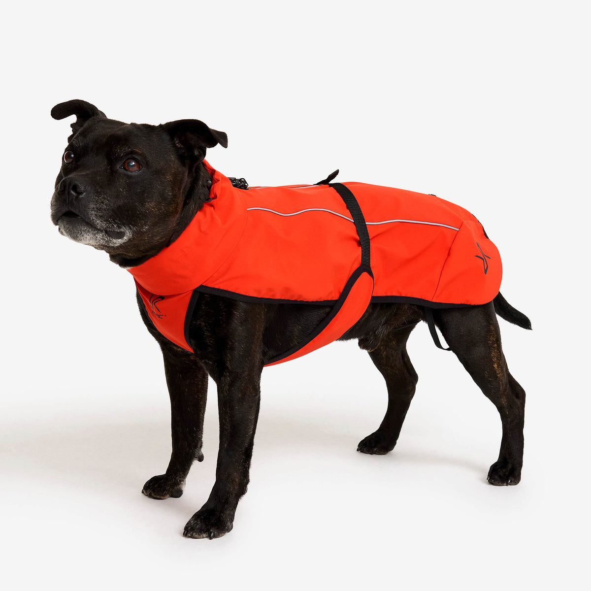 Cyclone Dog Jacket Dog