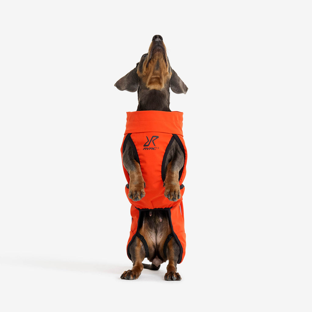 Cyclone Dog Jacket Dog