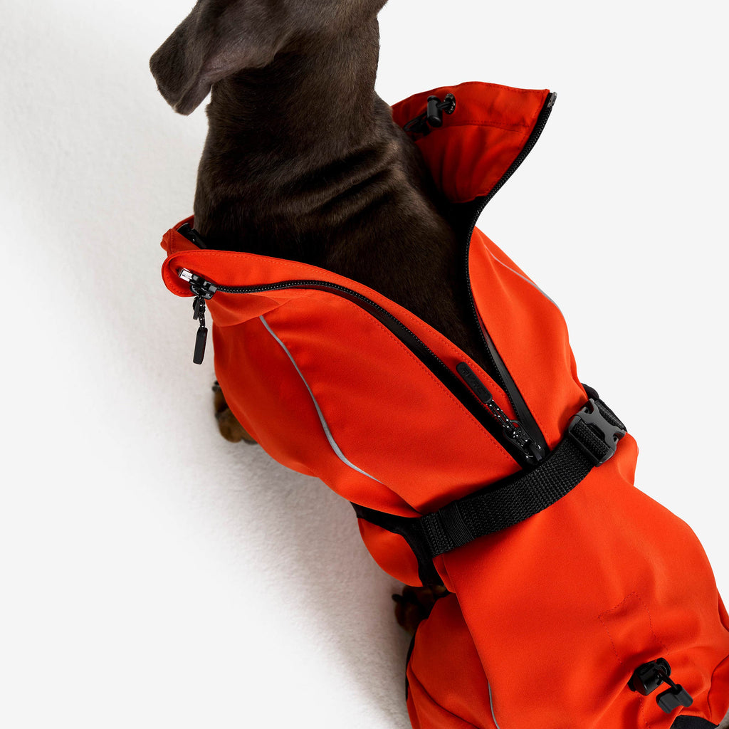 Cyclone Dog Jacket Dog