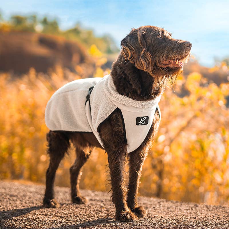 Bigfoot Dog Jacket Dog