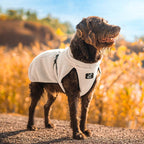 Bigfoot Dog Jacket Dog