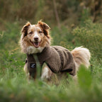 Bigfoot Dog Jacket Dog