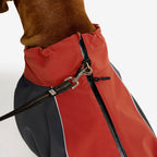Cyclone Dog Jacket Dog