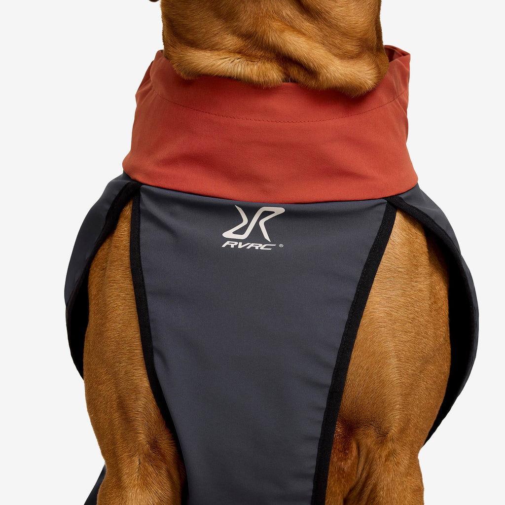 Cyclone Dog Jacket Dog