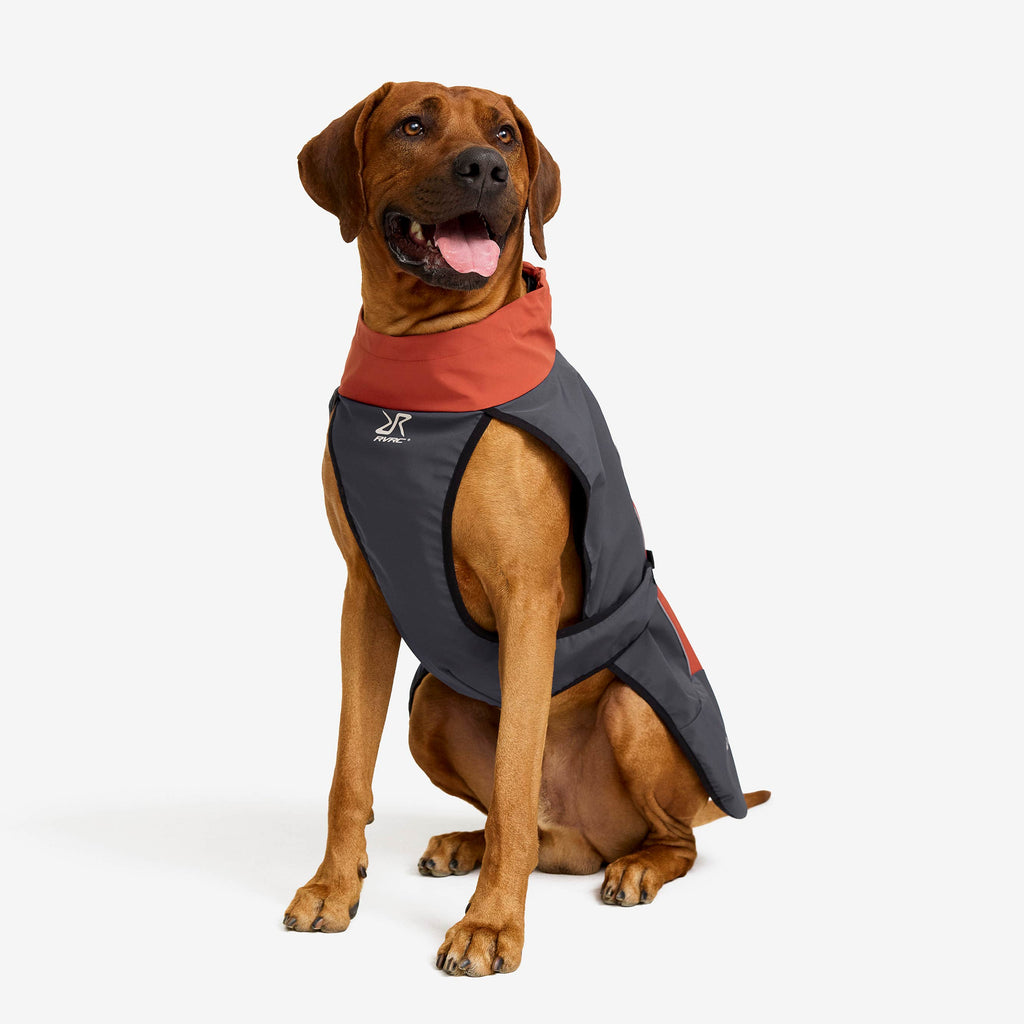 Cyclone Dog Jacket Dog