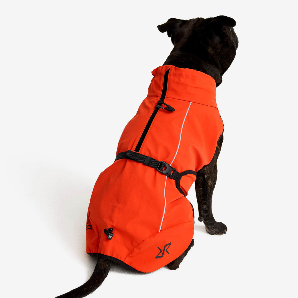Cyclone Dog Jacket Dog