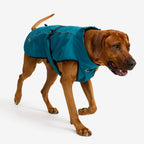 Cyclone Dog Jacket Dog
