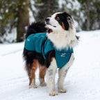 Cyclone Dog Jacket Dog