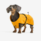Cyclone Dog Jacket Dog