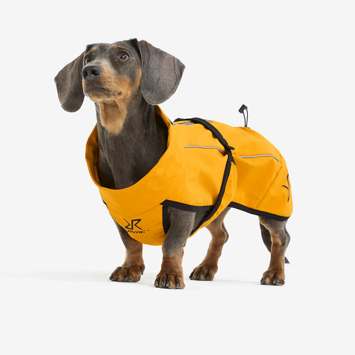 Cyclone Dog Jacket Dog