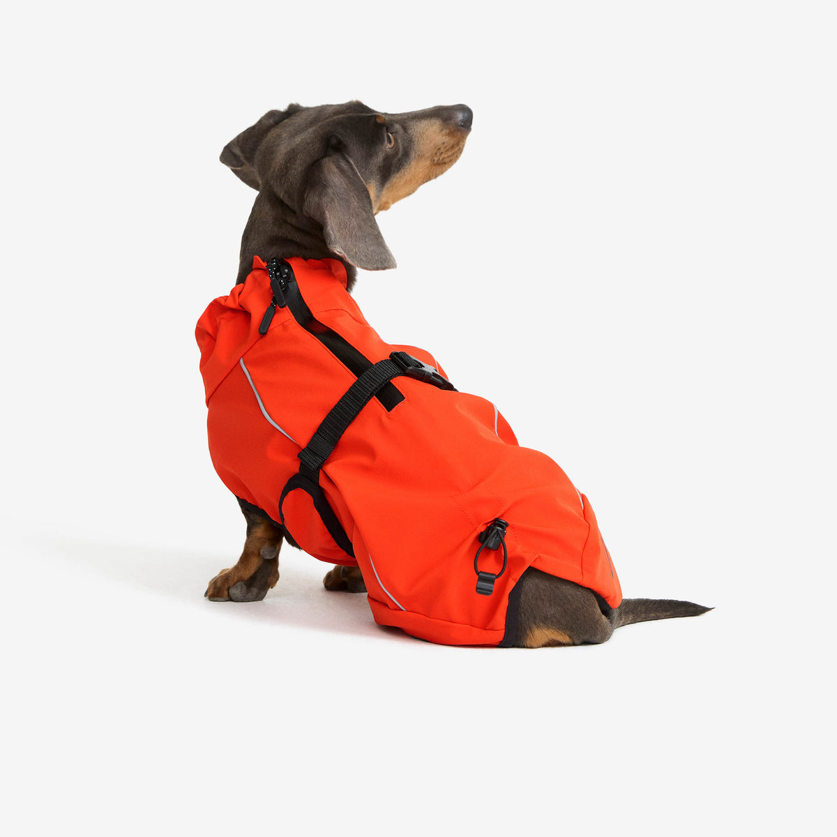 Cyclone Dog Jacket Dog