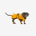 Cyclone Dog Jacket Dog