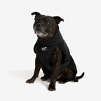 Bigfoot Dog Jacket Dog