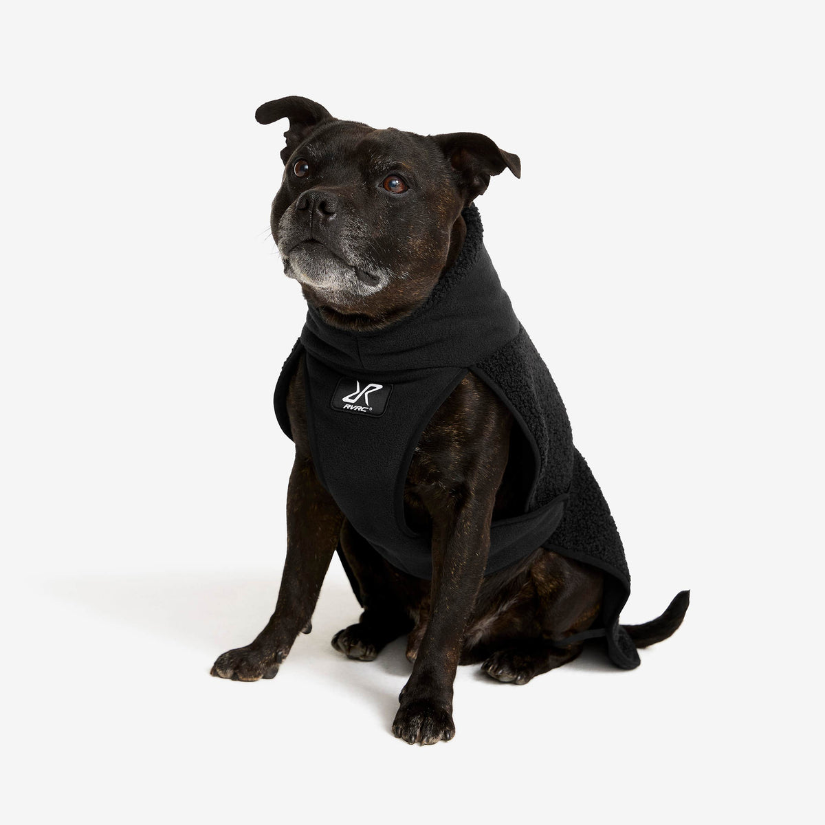 Bigfoot Dog Jacket Dog