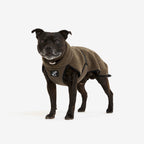 Bigfoot Dog Jacket Dog