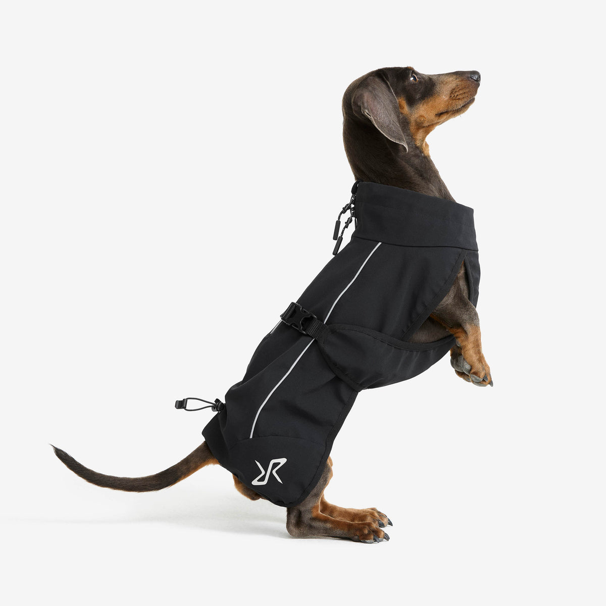 Cyclone Dog Jacket Dog