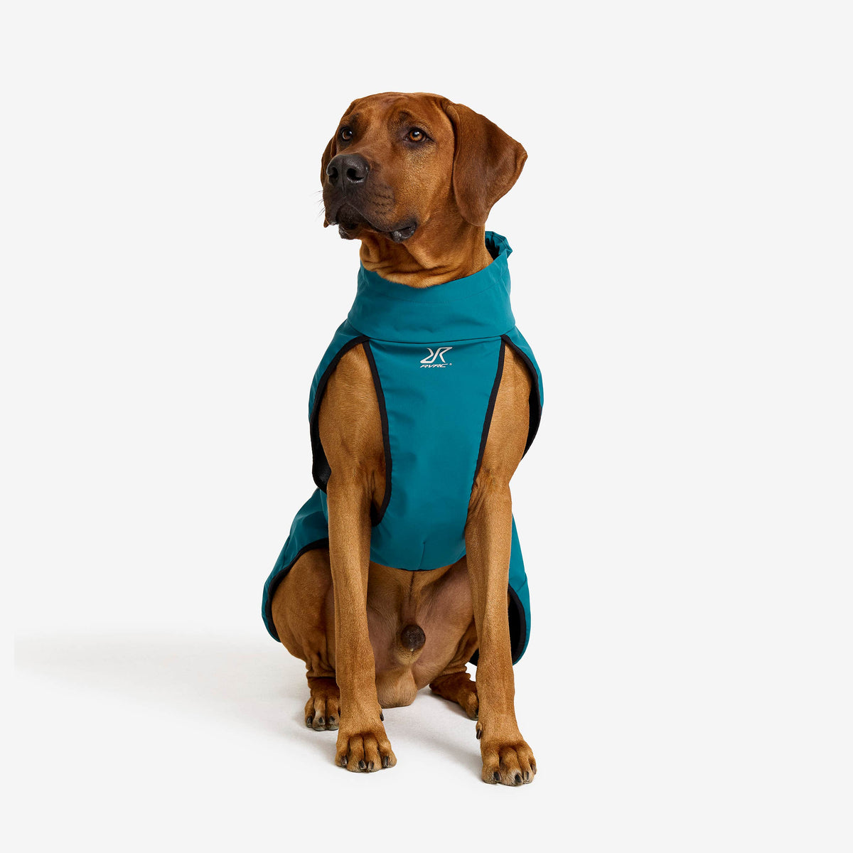 Cyclone Dog Jacket Dog