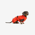Cyclone Dog Jacket Dog
