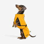 Cyclone Dog Jacket Dog