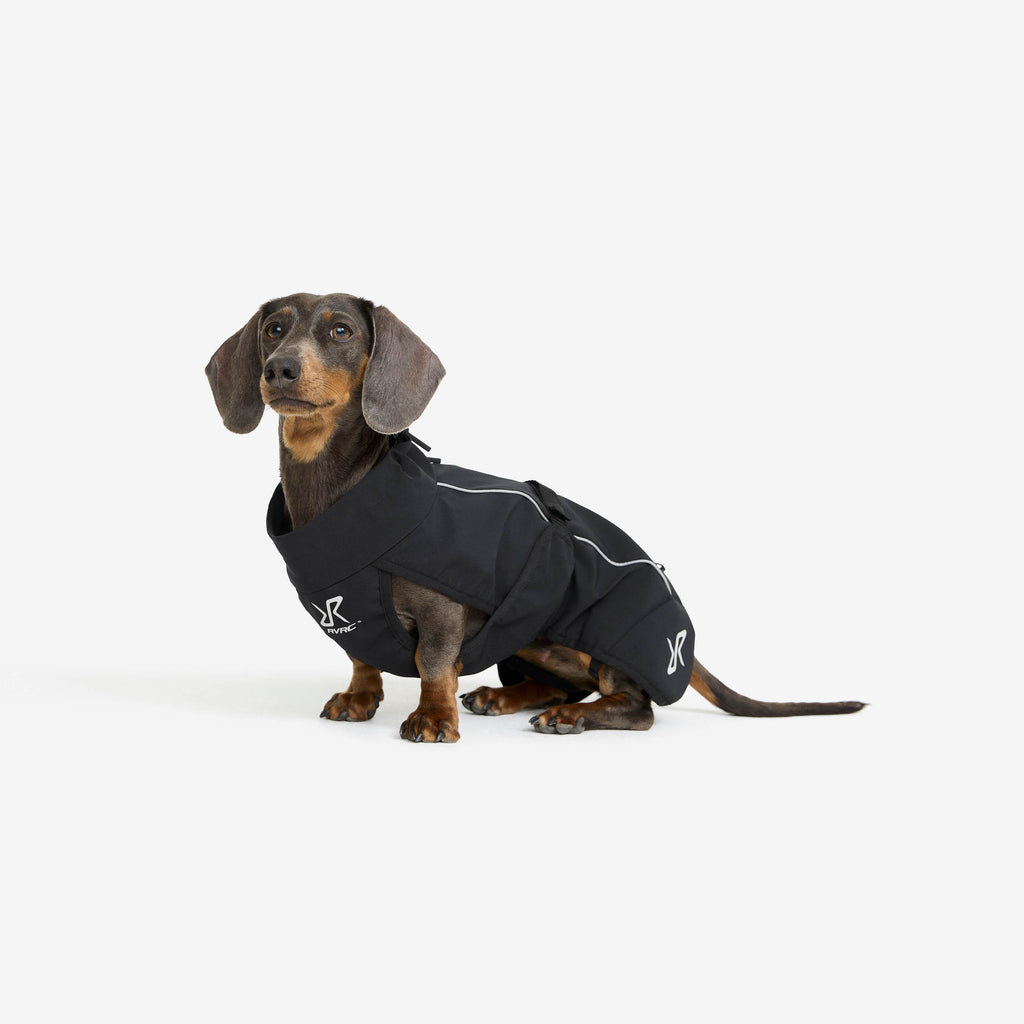 Cyclone Dog Jacket Dog