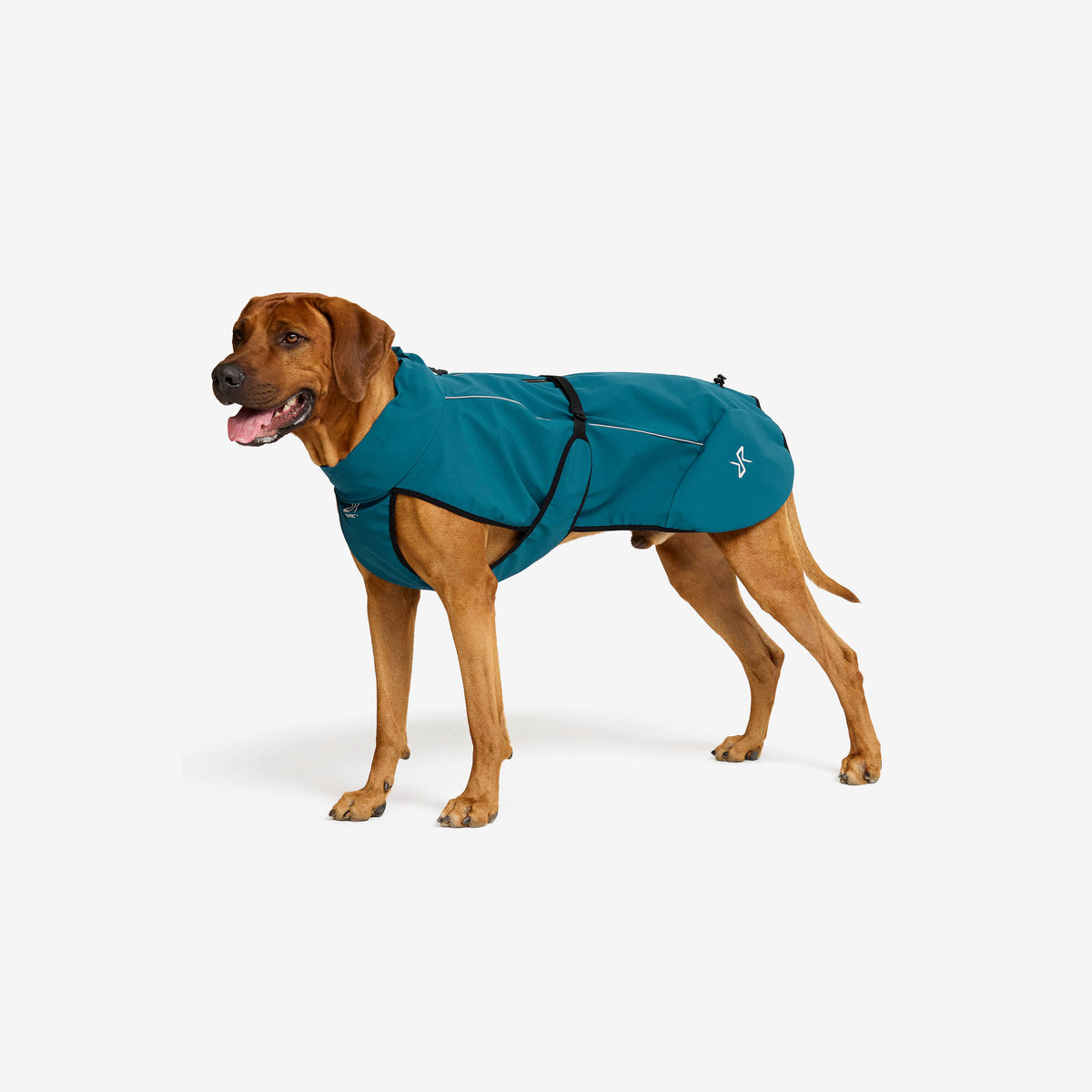 Cyclone Dog Jacket Dog