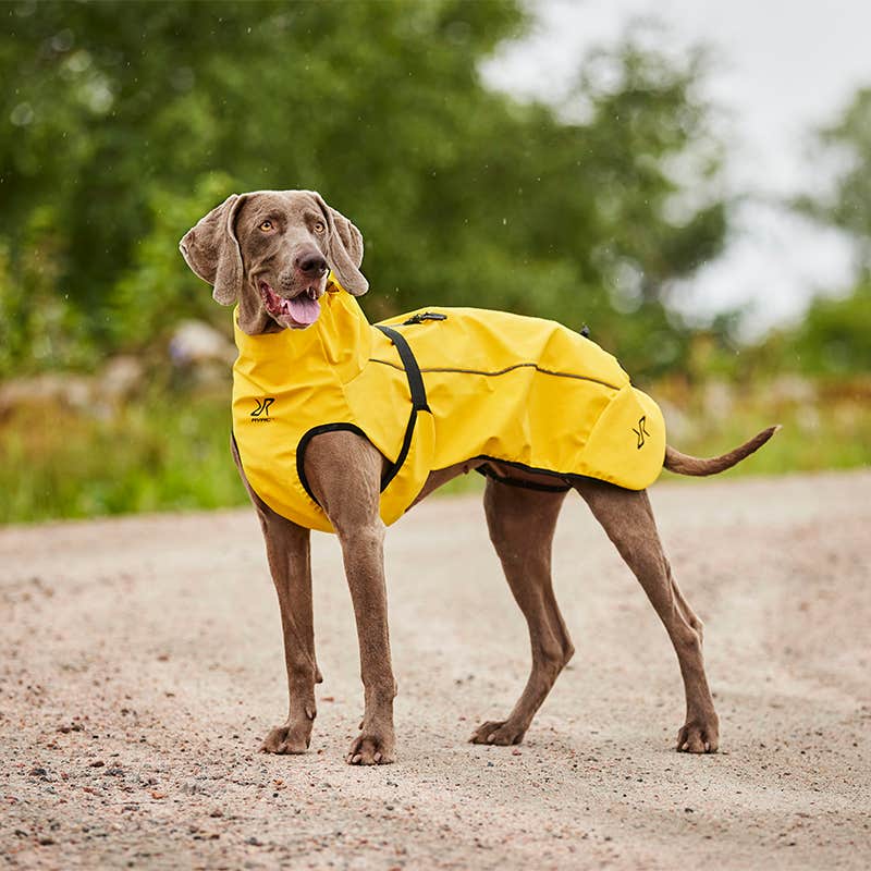 Cyclone Dog Jacket Dog