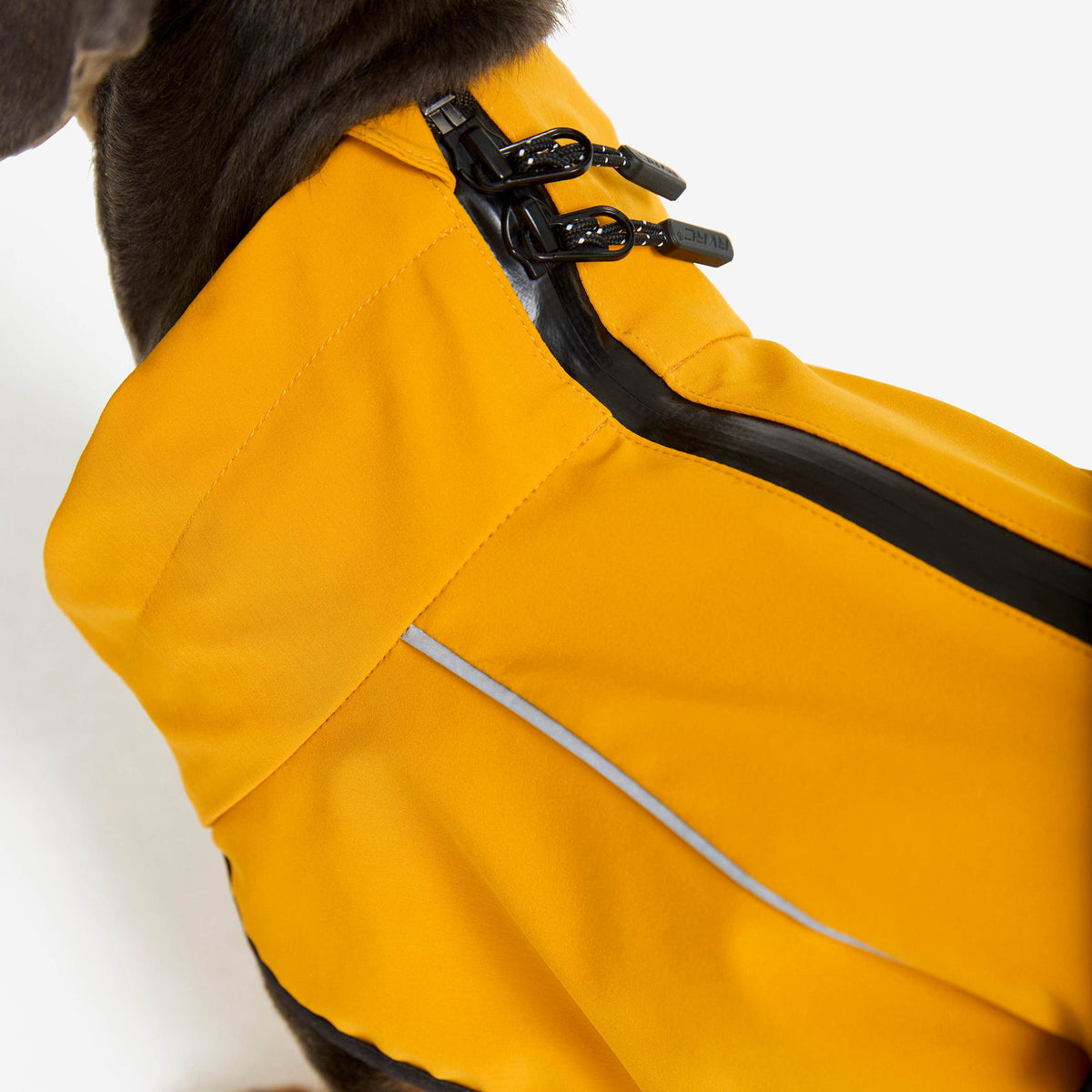 Cyclone Dog Jacket Dog