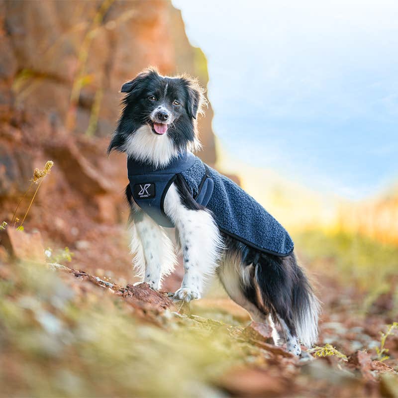 Bigfoot Dog Jacket Dog