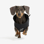 Cyclone Dog Jacket Dog