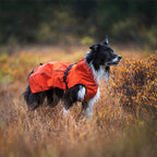 Cyclone Dog Jacket Dog