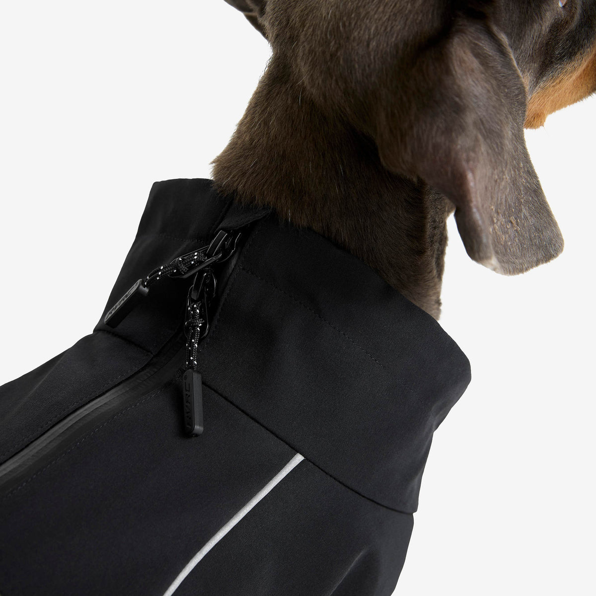 Cyclone Dog Jacket Dog