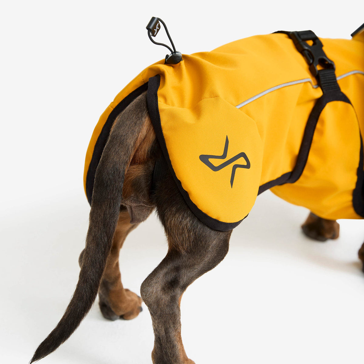 Cyclone Dog Jacket Dog
