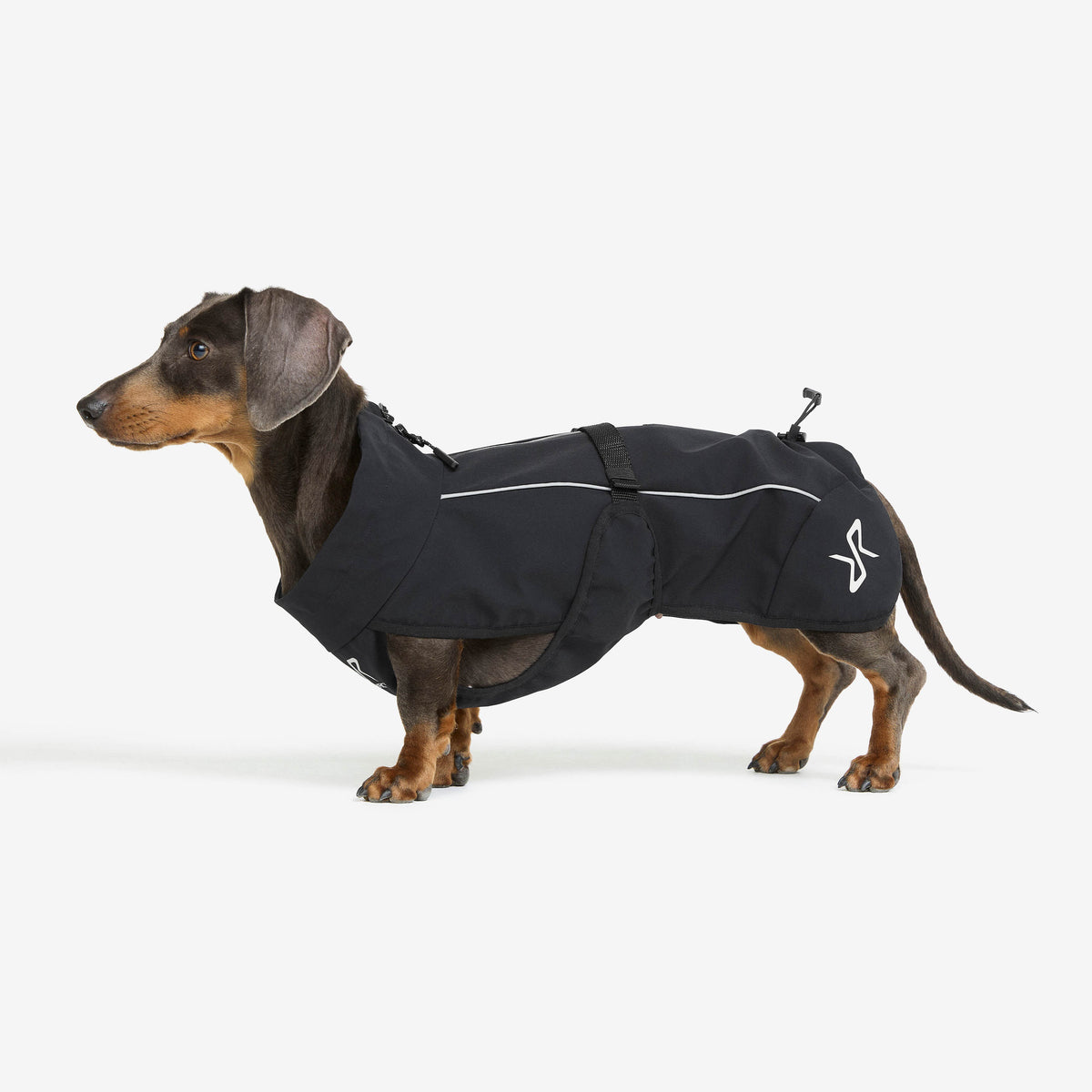 Cyclone Dog Jacket Dog