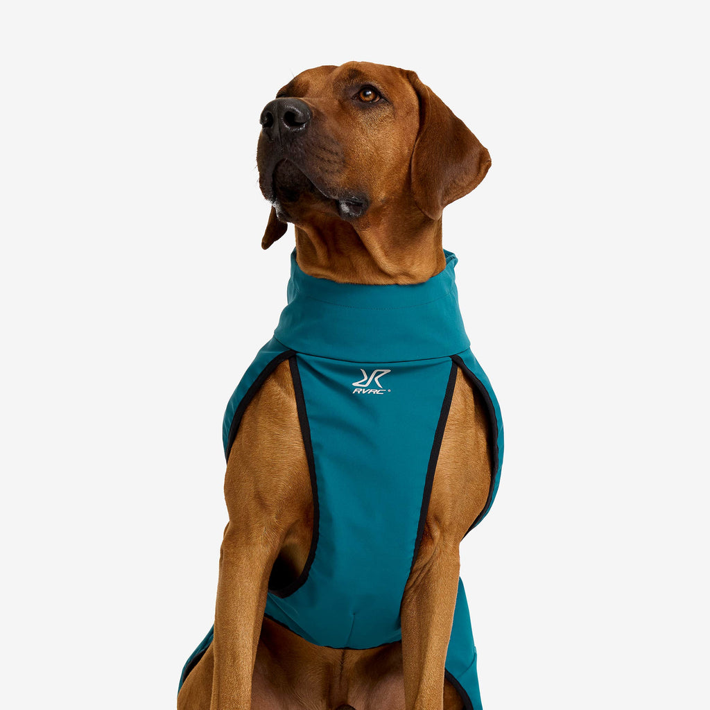 Cyclone Dog Jacket Dog